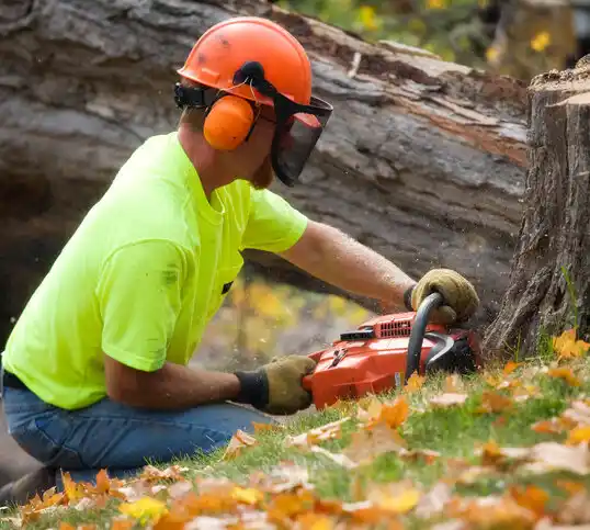 tree services Perry